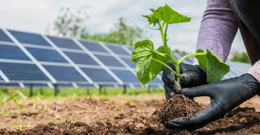 Energia Solar na Área Rural Iluminando o Caminho para um Futuro Sustentável
